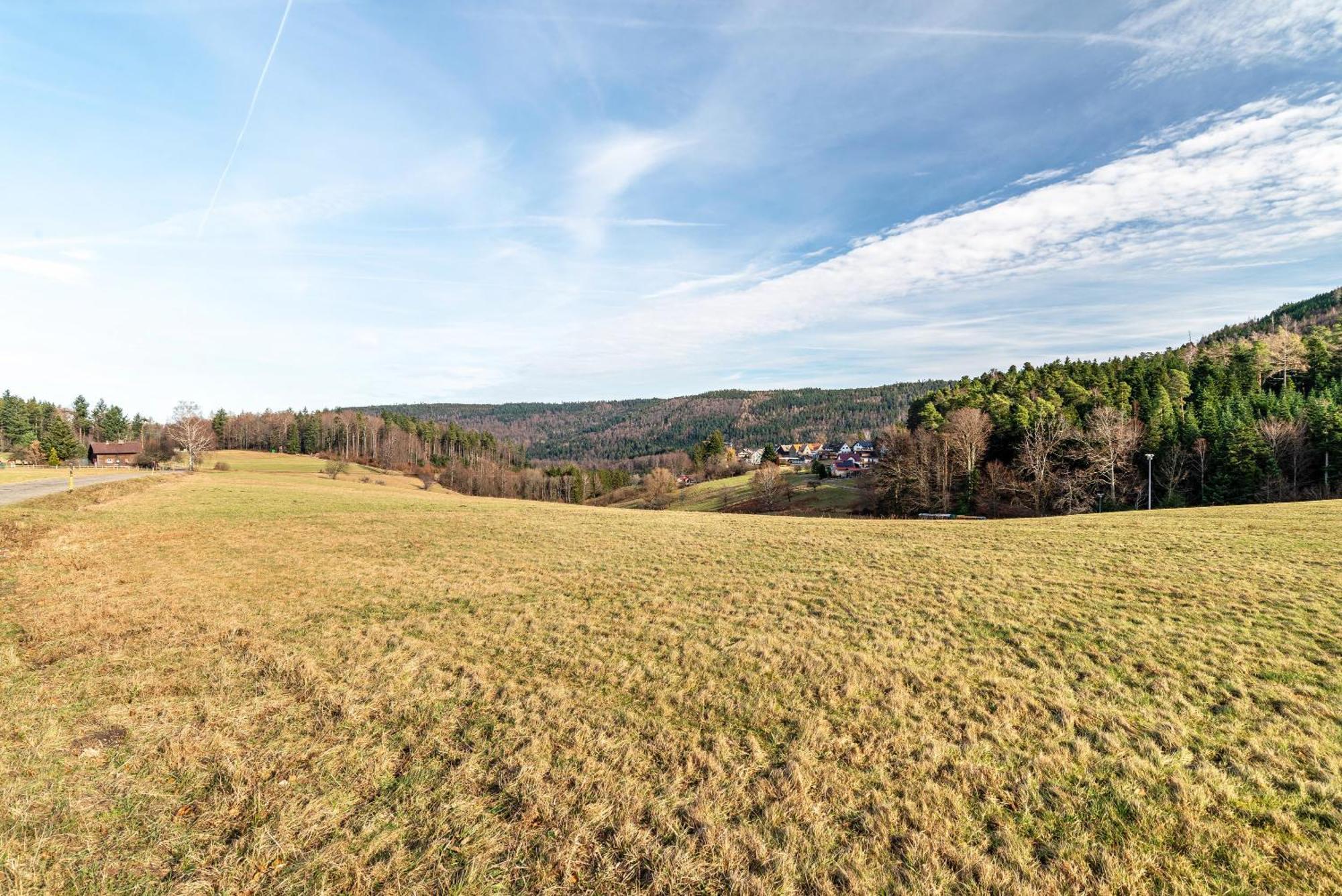 Ferienwohnung Schumacher บัดแฮร์เรนอัลบ์ ภายนอก รูปภาพ