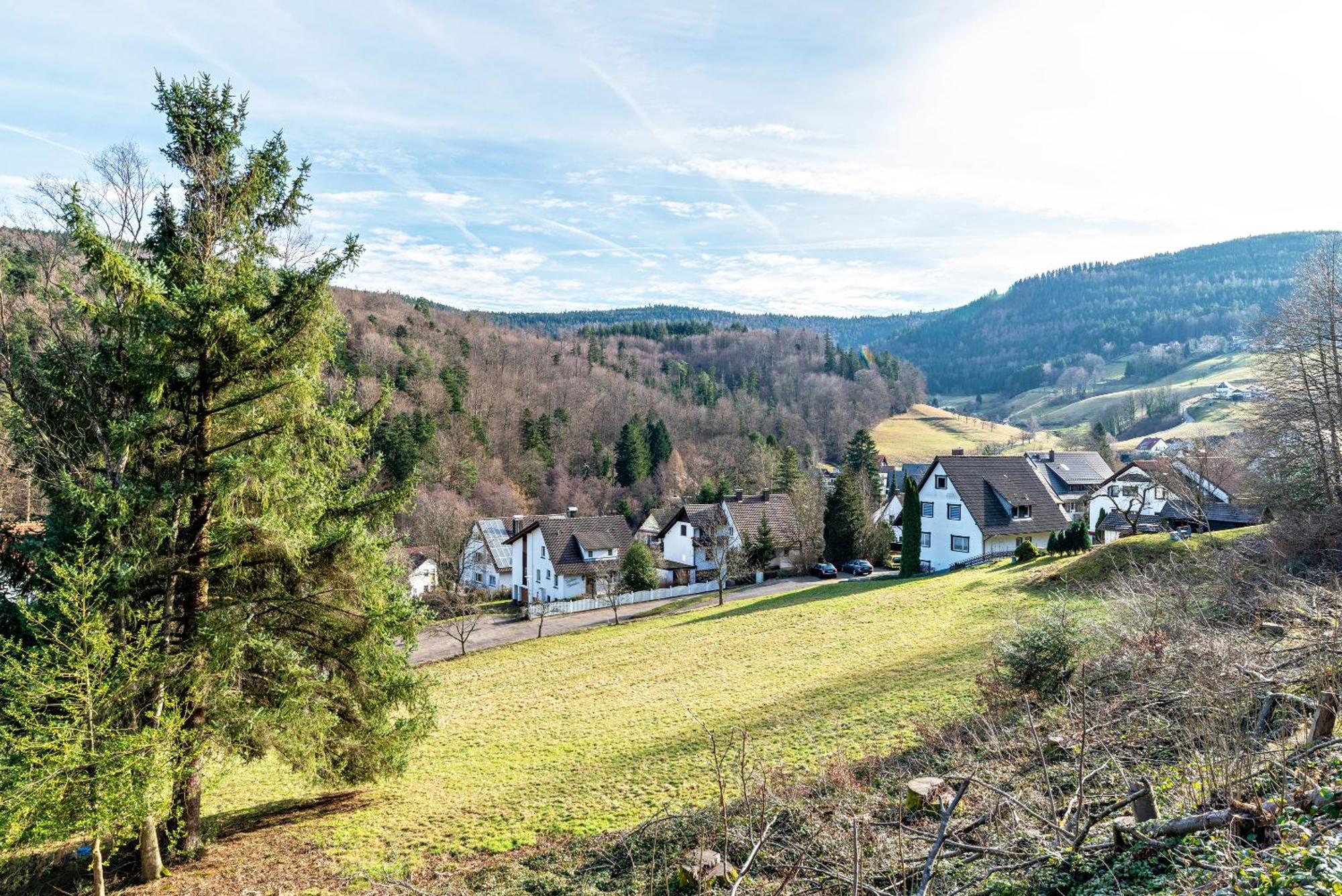 Ferienwohnung Schumacher บัดแฮร์เรนอัลบ์ ภายนอก รูปภาพ